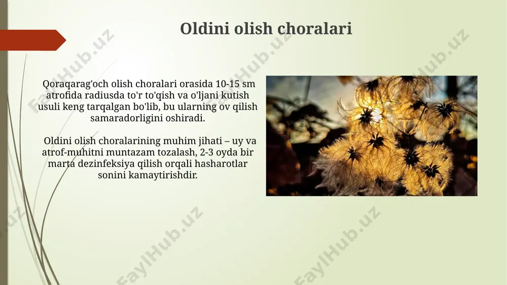 zaharli o‘rgimchaklar - Page 3