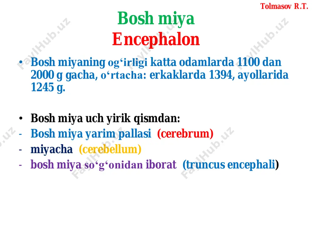 iii juft dahliz-chig‘anoq nervining (n. vestibulocochlearis) tolmasov r.t. tolmasov r.t. uzunchoq miyaning olivasi orqasidagi egatdan birin-ketin • ix juft til-yutqin nervi (n. glossophyngeus) • x juft adashgan nerv (n. vagus) • xi juft qo'shimcha nervning (n.accessorius) ildizlari chiqadi. tolmasov r.t. ix juft til-halqum nervi (n.glossophyngeus) tolmasov r.t. tolmasov r.t. x juft adashgan nerv (n. vagus) tolmasov r.t. tolmasov r.t. tolmasov r.t. xi juft qo‘shimcha nervning (n. accessorius) tolmasov r.t. tolmasov r.t. xii juft til osti nervining (n. hypoglossus) ildizi esa piramida bilan oliva o'rtasidagi egatdan chiqadi. tolmasov r.t. xii juft til osti nervining tolmasov r.t. • i juft, hid biluv nervi (nervus olfactorius) - hidlov piyozchasida (bulbus olfactorius) - g‘alvirsimon suyak lamina crebroza • iijuft ko‘ruv nervi (n. opticus) - (chiasma opticum) - ko'ruv nervi kanali orqali • iii juft ko‘zni harakatlantiruvchi nerv (n. oculomotorius) – bosh miya oyoqchalarining ichki yuzasi – fissura orbitalis superior • iv juft g‘altak nervi …