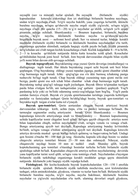 qondagi suyuqlik (suv va mineral) tuzlar ajraladi. bu suyuqlik (birlamchi siydik) kapsulasidan ketuvchi yukoridagi ilon izi shaklidagi birlamchi buralma naychaga, undan to'g'ri naychaga o'tadi. to'g'ri naycha bukilib, yana yuqoriga ko'tarilib, ikkinchi buralma naychaga, so'ngra qo'shuvchi naycha orqali siydik yig'uvchi, so'ngra to'g'ri naychaga o'tadi. bir qancha (15—20) to`g`ri naychalar qo`shilib, so'rgich yo'li orqali piramida uchiga ochiladi. shumlyanskiy — boumen kapsulasi, birlamchi buralma naycha, to'g'ri naycha, ikkilamchi buralma naycha va qo'shuvchi naycha birgalikda buyrak asosi — nefronni hosil qiladi. suv va mineral tuzlar, boshqa kerakli moddalar (birlamchi siydik) birlamchi va ikkilamchi buralma naychalardan o'ta turib, organizmga qaytadan shimiladi, natijada haqiqiy siydik paydo bo'ladi. siydik piramida so'rg'ichidan uni o'rab turgan kichik kosachalarga o'tadi. kichik kosachalar 8—9 ta bo'lib, 2—3 ta kosacha qo'shilishi natijasida ikkita katta kosacha xosil qiladi. kosachalar qo'shilishidan buyrak jomi hosil bo'ladi. jom buyrak darvozasidan chiqishi bilan siydik yo'li nomi bilan davom etib qovuqqa ochiladi. buyrak topografiyasi. buyraklarning orqa yuzasi qorin …