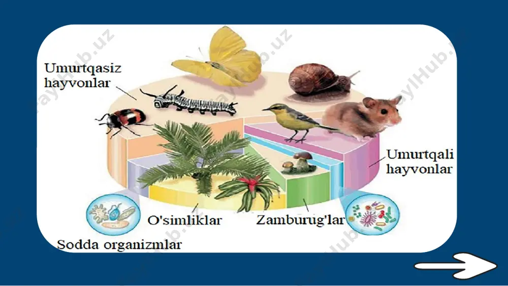 yoki hodisalarni sezgi organlari yordamida idrok etish. obyekt yoki hodisani kuzatish jarayonida kuzatuvchi jarayonga ta’sir etmagan holda faqatgina natijalarni qayd etadi. uyga vazifa 1. biologiya fani nimani o‘rganadi? 2. bioekolog, ekolog-injener, landshaft dizayneri kabi kasb egalari faoliyati nimadan iborat? 3. biologiya sohasida olib borilayotgan tadqiqotlarning tibbiyot, qishloq xo‘jaligi, oziq-ovqat sanoati, yengil sanoat va boshqa sohalar bilan bog‘liqligini misollar bilan tushuntiring. image1.png image3.png image4.png image2.png image5.png image6.png image7.png image8.png image9.png image10.png image11.png image12.png