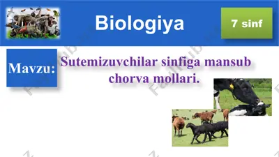 sutemizuvchilar sinfiga mansub chorva mollari — PPTX