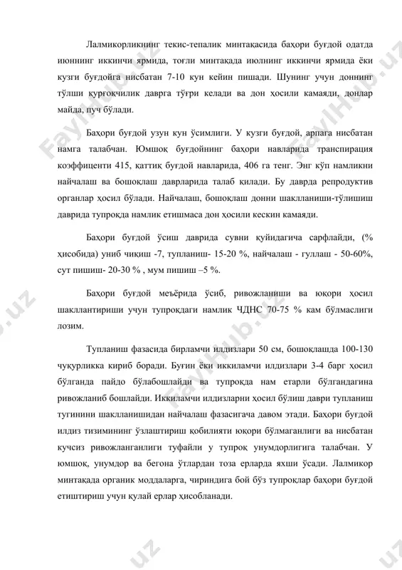 ларида экиш учун давлат реестридан ўтказилган. баҳори буғдой ҳусусиятларидан бири уруғларнинг бир текис, қийғос униб чиқмаслиги ва майсазорни сийракланиши ҳисобланади. бунинг асосий сабаби униб чиқиш даврида тупроқда намликнинг етишмаслиги, шимолда тупроқ кислоталигининг юқорилиги, уруғларни фузариоз билан касалланишидир. майсаларни секин ривожланиши, кучсиз тупланиши, айниқса, қаттиқ буғдойлар билан, ўтлар билан кучли ифлосланади. баҳори арпа муҳим озиқ-овқат, ем-хашак ва техникавий экин. унинг донидан арпа ёрмаси, перловка, ун тайёрланади. арпа унини 20-25% буғдой ёки жавдар унига қўшиб нон тайёрлашда ишлатиш мумкин. донида ўртача 12% оқсил, 5,5 % клейковина, 64,6% азотсиз экстрактланадиган моддалар, 2,1 -ёг, 13 - сув, 2,8% кул бор. баҳори арпа чўчқалар, отлар учун яхши концентрат ем. унинг 1 кг донида 1,2 кг озиқа бирлиги бор. бу экин пиво ва спирт саноатининг асосий хомашёси. пиво тайёрлаш учун, айниқса, икки қаторли, тўла, йирик донли, пўстлилиги кам (8-10%), униб чиқиш энергияси юқори (95 %), 4-кун ўстирилганда арпа энг яхши хомашё ҳисобланади. арпа энг қадимий экин. …