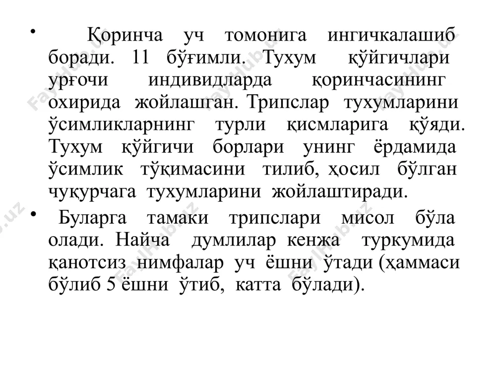трипслар туркуми вакиллари - Page 5