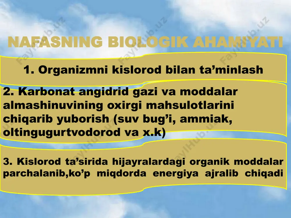 nafas olish organlarining tuzilishi va funksiyasi - Page 5