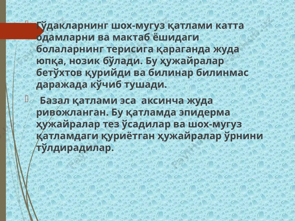 ади. кўкрак ёшидаги болаларда тери ости ёғ қавати эмбрионал характерини сақлайди. тери ости ёғ қаватининг афх етилиб туғилган чақалоқларда ёғ тўқимаси тана массасининг 16 % ташкил қилади. 1 ёшли болада ёғ тўқимасининг тана массасига нисбати бир неча баробар ортиқча бўлиб, бу уларнинг тана шаклининг нисбатан айланалигини, табиий бурмаларни катталарга нисбатан чуқурлигини изоҳлайди. чала туғилган чақалоқларда ёғ тўқимаси массаси чала туғилган даражасига боғлиқ ҳолда камайиб боради. тери ости ёғ қаватининг афх бола туғилган пайтда ёғ қавати юзда (биш ёстиқчалари), оёқ қўлларда, ва кўкракда яхши ривожланган, орқа соҳасида эса нисбатан суст ривожланган бўлади. кўкрак қафаси, қорин бўшлиғида ва қорин орти бўшлиқларида ҳатто етилиб туғилган чақалоқларда ҳам ёғ тўқимаси жуда кам. шунинг учун ҳам уларнинг ички аъзолари жойидан осон силжийди. тери ости ёғ қаватининг афх тананинг турли қисмларидаги ёғ тўқимаси таркиби турлича. бунинг сабаби уларнинг пайдо бўлиш ва йўқолиш вақтининг турлича бўлишидадир. дастлаб ёғ юзда йиғилади, сўнгра қўл ҳамда оқларда ва охирида қоринда …