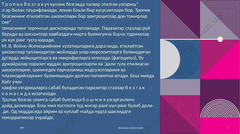 сси кичкина ёнгоддая тортиб муштумдай булиши мумкин 20гг заголовок презентации 12 le y sh m a n io z leyshm anioz faqat ma’lum geografik m intaqalarga xos bo'lgan transm issiv kasalliklar jum lasiga kiradi. o dam da uchraydigan leyshm aniozning ikki xili tafovut qilinadi: teri leyshm aniozi va visseral leyshmanioz. shu ikkala xilining turli geografik va klinik-epidem iologik variantlari bor. e tio lo giy asi va patogen ezi. leyshm aniozning qo'zg'atuvchilari ikki turdagi leyshm aniylardir, ular bir-biridan tam om boshqacha bo'lib o'tadigan ikki xil kasallikka olib boradi. u larning biri badan terisini zararlab, unda yaralar paydo qiladi (teri leyshm aniozi — «yom on jarohat»), ikkinchisi ichki organlar zararlanishiga sabab bo'ladi (um um iy infeksion kasallik hisoblanadigan visseral leyshm anioz). teri leyshm aniozi qo'zgatuvchisini 1898-yili p. r borovskiy toshkentda k ash f etgan, visseral leyshm anioz qo'zg'atuvchisini esa 1902-yili donovan h indistonda topgan. 20гг заголовок презентации 13 20гг заголовок презентации 14 …