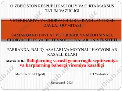 virusli gemorragik septitsemiya kasalligi — PPTX