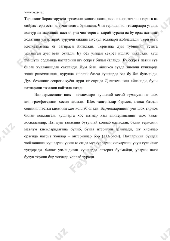 ди, бунга калам учи (calamus) дейилади. кундаланг кесимда калам учи юмалок булади ва тубида тешиги бор. калам учининг пасти терига киради ва пат халтасига урнашади (114-расм). пат 114-расм. контур патнинг тузилиши: 1- пат танаси, 2-калам учи, (кисман ёриб кўрсатилган), 3-каламучининг тешиги, 4-пат душоги, 5-ташки елпигичи, 6-ички елпигичи, 7-елпигичнинг парли кисми, 8-кўшимча пат танаси. танасининг ички кисми катакчали узак билан тулган булса, катлам учининг бушлигида бир-бириа кириб турган нозик шох калпокчалар (пат душоги) булади, бу калпокчалар усаётган ёш патни кон билан таъминлаб келган улик пат сургичларидир. пат елпигичлариинг хар бири пат танасидан чиккан узун-узун шох пластинкалардан тузилган, биринчи тартибли толалардан тузилган, биринчи тартибли толалардан куп сонли, анча ингичка иккинчи тартибли толачалар чикади. бу толачалар узаро илмокчалар ён толачалар билан бирикиб, елпигичлари эгилувчан пластинка хосил килади (115-расм). бу пластинка механик таъсир билан йиртилиши мумкин, лекин илмокчалари бир-бирига яна тегиши билан дарров яна аслидек булиб колади. куш терисини коплаб турган патлар тузилишига, жойлашишига …