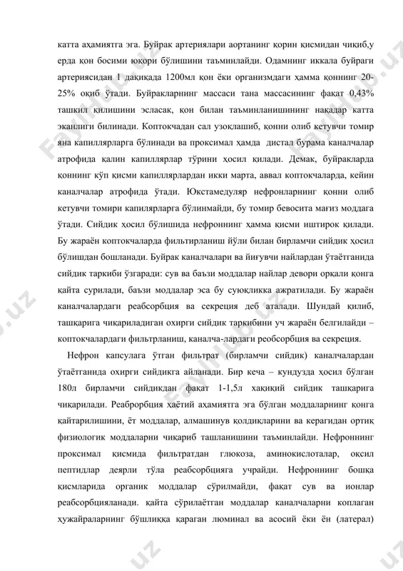 мида фильтратдан глюкоза, аминокислоталар, оқсил пептидлар деярли тўла реабсорбцияга учрайди. нефроннинг бошқа қисмларида органик моддалар сўрилмайди, фақат сув ва ионлар реабсорбцияланади. қайта сўрилаётган моддалар каналчаларни коплаган ҳужайраларнинг бўшлиққа қараган люминал ва асосий ёки ён (латерал) мембраналаридан ўтиши керак. кўпчилик моддалар учун люминал мембранада ташувчилар ва ион каналлари жойлашган, улар моддаларнинг ҳужайра ичига киришини таъминлайди. базолатерал мембранада na,k–атфаза, ca–атфаза ва баъзи органик моддаларининг ташувчилари жойлашган. улар моддаларнинг ҳужайрадан ташқарига чиқарилишини, қонга ўтишини таъминлайди. буйракда моддаларнинг реабсорбцияси глюкоза реабсорбцияси. бир кечаю кундузда коптокчаларда 200г га яқин глюкоза фильтирланади ва деярли ҳаммаси каналчаларнинг проксимал сигментида қайта сўри-лади. апикал (люминал) мембранада глюкоза ташувчи билан бирикади, ташувчи шу вақтининг ўзида натрий катионни ҳам бириктиради. фильтратдан ҳосил бўлган йигинди энди мембрадан ўтиш хусусиятига эга бўлади. натижада айни бир вақтининг ўзида натрий ва глюкоза цитоплазмага ўтади. мембранани глюкоза учун ўтказувчанлиги бир тарафлама бўлганлиги сабабли, у глюкозани качалча бўшлиғига қайтиб ўтишига йўл қўймайди. қондаги глюкозанинг миқдори ўртача 5 …