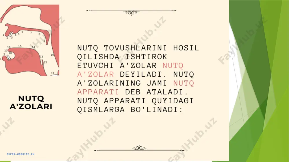 fonetika - Page 3