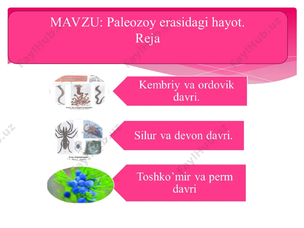 paleozoy erasidagi hayot - Page 2