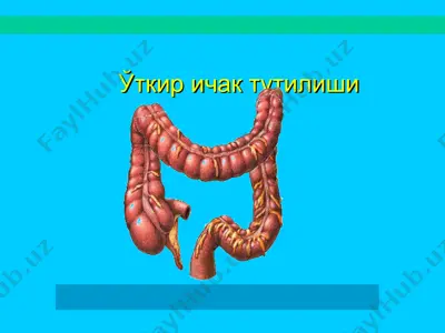 i̇chak tutilishi — PPT
