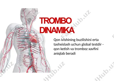 trombodinamika — PPTX