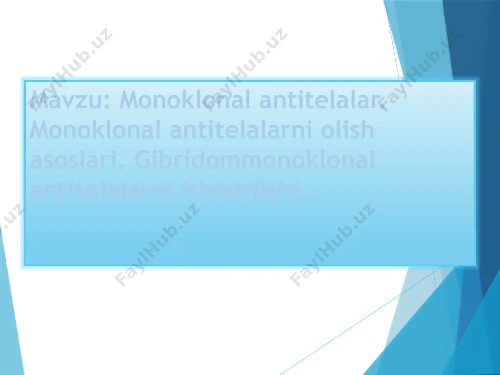 asalan, onkologik dorilar uchun toksik yoki radiotoksik . monoklonal antitelalarni olish asoslari. gibridommonoklonal antitelalarni ishlatilishi. monoklonal antitanalar – gomogen antitanalar bo‘lib, gibrid hujayralar tomonidan ishlab chiqariladi. bu hujayralar bitta izotipli spetsifik immunoglobulinlarni ishlab chiqaradi. bunday gibrid hujayralar gibridomalarni olish metodikasi 1984 yilda milshteyn, kyoler va erne tomonidan ishlab chiqilgan. bu metod quyidagi jarayonlarni o‘z ichiga oladi: immunizatsiyalangan hayvon (masalan, sichqon) taloq hujayralaridan b-limfotsit xujayralari olinib, mieloma (rak) hujayralari bilan qo‘shiladi va gibrid xujayra hosil qilinadi. so‘ng gibrid hujayralar ko‘paytiriladi va seleksiya qilinadi. ￼gibridoma texnologiyasi: (1) hayvonlarni immunizatsiya qilish; (2) taloqdan b limfotsitlarni ajratib olish; (3) miyelom hujayralari madaniyati; (4) b limfotsitlar va miyelom hujayralarining birlashishi; (5) hujayra chizig'ini ajratish; (6) antikor ishlab chiqaruvchi liniyalarni skrining va tanlash; (7) gibridomani in vitro (a) yoki in vivo (b) ko'paytirish ; (8) antikorlarni olish. foydalanilgan adabyotlar sh.r.aliyev,i.m.muhammedov ‘’ mikrobiologiyadan labaratoriya mashg’ulotlariga doir qo’llanma’’ i.muhammedov. ‘’mikrobiologiya, immunologiya,virusologiya’’ image1.jpg image2.jpg image3.png image4.png image5.jpg image6.jpeg image7.jpeg …