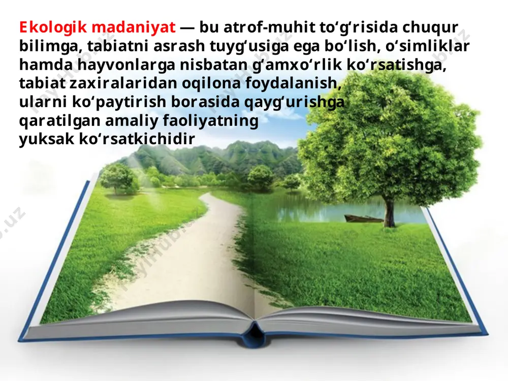 ekologik madaniyat va ma’naviyat uyg‘unligi 11-sinf - Page 3