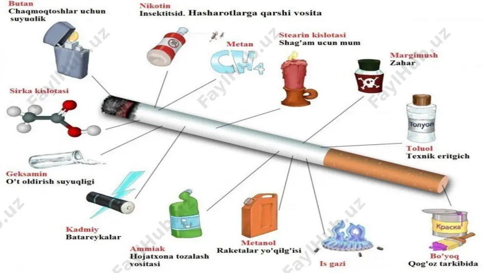 onlashishi mumkin emasligini ta'kidlaydi. biroq, statistik ma'lumotlarga qaraganda, aksincha, uni aks ettiradi. dunyodagi har 10 soniyada bir kishi chekishni tashlaydi. bugungi kunga kelib, statistika ma'lumotlariga ko'ra, bir yil davomida tamakiga sayyoramiz atrofida taxminan uch million odam o'ldiriladi. kelajakda barcha prognozlarga ko'ra, bu raqam 10 millionga etadi. erning butun aholisi (taxminan 6 milliard) bilan solishtirganda, taxminan 10 million kichik bir raqam, deb aytadigan skeptiklar bor. lekin har bir kishi 10 millionga tushib qolish xavfiga uchragan chekuvchilar uchun bu katta xavf. agar shunday tendentsiya saqlanib qolsa, oxir-oqibat, tamakiga 500 millionga yaqin kishi halok bo'ladi. va bu yerning umumiy aholisining 9% ni tashkil qiladi. 1950 yildan beri chekish 62 million odamni o'ldirgan - ikkinchi jahon urushi davrida o'ldirilgan. tamaki tamakining 6 foizini va barcha kasalliklarning 3 foizini tashkil qiladi. bundan tashqari, har kuni kundalik tashvishlar o'sib bormoqda va 2020 yilga borib dunyo miqyosida o'limning 12% ni tashkil etadi. nikotin ishlatilgan joyda nikotin juda …