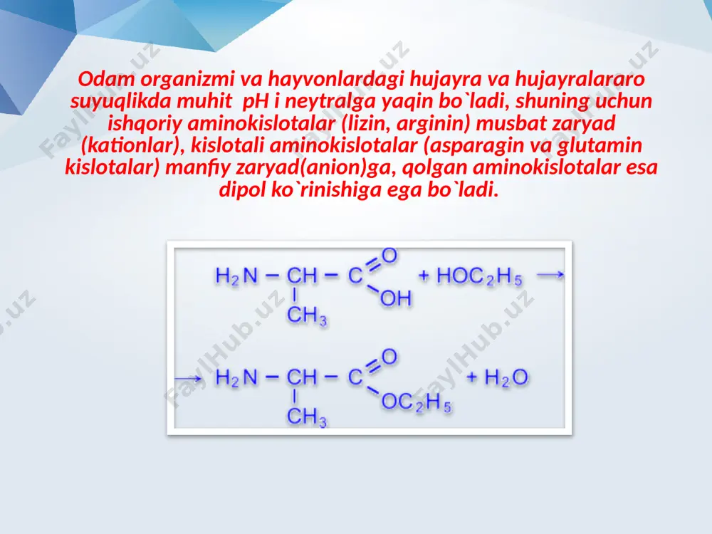 ayrim aminokislotalarning almashinuvi reaksiyalari - Page 5