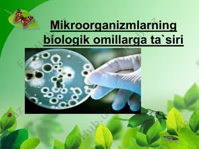 mikroorganizmlarning biologik omillarga ta`siri — PPTX