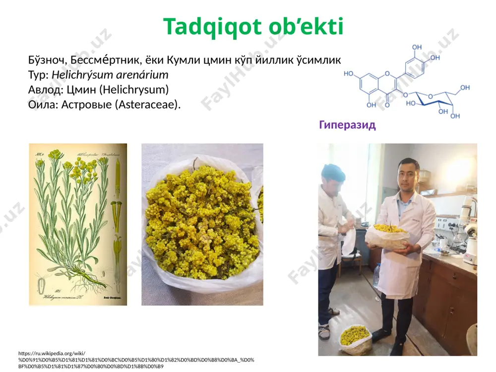 доривор ўсимликлардан биофаол моддалар олиш - Page 4