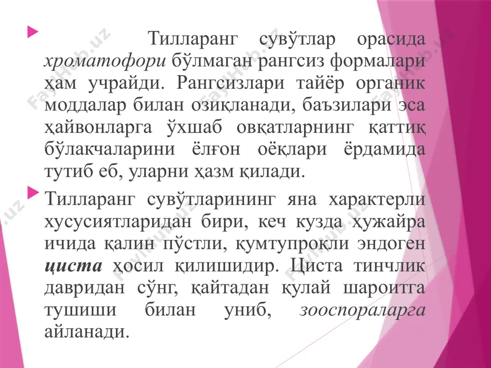 нги вошерия талломини ҳосил қилади. унинг талломини зах ва балчиқсимон жойлардан учратиш мумкин. 3 - бўлим. пиррофиттоифа сувўтлар бўлими-pyrrophyta пиррофиттоифа сувўтлари ҳужайрасидаги хроматофори қўнғир сариқ рангли бўлади. заҳира озуқа модда сифатида крахмал ёки ёғ тўпланади. пирофиттоифа сувўтларининг кўпчилик юксак тузилган вакилларида ҳужайраларининг устки қисми целлюлозали совутчалар билан қопланган. совутчалари орасида чоклари бўлиб, улар ҳужайранинг ўсиши давомида совутчалари катталашишига қулайлик яратади. пиррофиттоифа сувўтлари орасида рангсиз формалари ҳам учрайди. баъзиларида хивчин ва пўст бўлмайди. булар ҳайвон ва ўсимлик қолдиқларининг бўлакчаларини ютиб озиқланади. баъзилари эса, турли умурқасиз ҳайвонларда паразитлик билан ҳаёт кечиради. вакил:сератиум-ceratium сератиум планктон ҳолда ҳаёт кечиради. сератиум бўйига томон чўзилган, яъни узунроқ тузилган. юқори ва остки қисмида иккита ёки учта шохсимон қайрилган ўсимта бўлади. ҳужайранинг тенг қисмида кўндаланг эгатча бўлиб, уни икки қисмга ажратади. сератиум иккита хивчинга эга, уларнинг биттаси олдинги томонга йўналиб, иккинчиси эгатча бўйлаб яширинган бўлади. вакил:сератиум протопласт қалин совут билан ўралган. совутнинг қалқони мустаҳкам, лекин кенг чокларга эга …