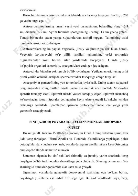 esa radial tuzilishga ega. bu sinf vakillarida poya, barg, ayrim vakillarida esa novdalar xam bor. poyasining asosidan yoki yotib o`suvchi turlarida poya bo`ylab, ko`p xujayrali ipsimon, shoxlangan rizoidlar taraqqiy etgan. barglari o`troq, butun, tomirlari yoki tomirsiz poyada zich joylashgan. ularning ko`pchiligi ko`p yillik o`simliklardir. jinsiy ko`payish organlari poyasining uchida yoki torf shoxlarida esa yon shoxchalarda joylashadi. ko`pincha jinsiy organlar parafiz iplari bilan o`ralgan bo`lib, bu iplar jinsiy organlarni ximoya qilishda muxim rol o`ynaydi. urug`lanish jarayonidan keyin zigotadan sporogen taraqqiy etadi. sporogonining jigarsimon yusinlarnikidan farqi shuki, bularning tashqi po`sti yashil xlorofill donachalariga ega. ikkinchidan bularda elatera bulmaydi. ko`sakchadagi spora yetilgandan keyin ko`sakcha kopqoqchasi ochiladi yoki ayrim vakillarda (andreya yusinida) ko`sakcha turtta bulakchaga ajralib ochilad va sporalar tashqi muxitga tarqaladi. sporadan protonema o`sadi. unda taraqqiy etadigan ko`rtaklardan yangi gametofit o`sib chiqadi. bu sinf vakillarida xam vegetativ yo`l bilan ko`payishni kuzatish mumkin. bargpoyali yusinsimonlar sinfi (ajdodi): 3 ta sinfchaga bulinadi: 1. sfagnumkabilar - …