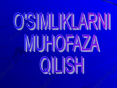 o'simliklarni muhofaza qilish — PPT