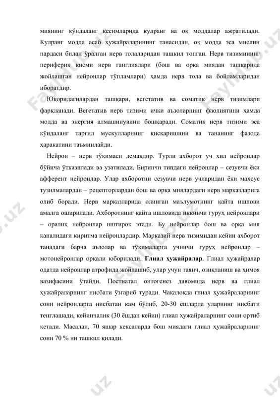 қолган қисми ва узунлиги 1-1,5 м бўлган нейронларнинг ўсимталари марказий нерв тизимидан ташқарида – периферияда жойлашган. улар бир – бири билан қўшилиб, нерв сопи ва нерв толаларини ҳосил қилади. нерв толалари танамизнинг барча қисмларидаги сигналларни бир – бирига узатиб, турли аъзолар ўртасида алоқани таъминлаб, организмнинг ишлашини яхлит тизим сифатида таъминлайди. нерв толалари ва нерв сопларининг асосий функцияси – нерв импулсларини ўтказишдир. уч хил нерв толалари мавжуд бўлиб, буларга – марказга интилувчи (афферент) – сезувчи, марказдан қочувчи (эфферент) – ҳаракатлантирувчи ва аралаш нерв толалари киради. аралаш нерв толалари сезувчи ва ҳаракатлантирувчи нерв толаларидан иборат. нерв толалари тузилиши ва функционал жиҳатдан миелинли ва миелинсиз нерв толаларига бўлинади. миелинли нерв толалари. баъзи нерв толалари ёғсимон парда – миелин билан қопланган. бу парда трофик, ҳимоя ва электроизоляцион вазифаларни бажаради. миелинли нерв толаларида қўзғалишни ўтказиш тезлиги миелинсиз нерв толаларига нисбатан анча юқори (1 сонияда 120 м атрофида), миелинсиз нерв толаларида эса, қўзғалишни ўтказиш камроқ (1 …