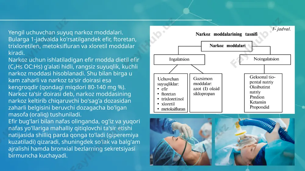 staliklari, buyrak va jigaming og'ir kasalliklari. ftoretan (golotan) bug'lari bilan nafas olinganda, 4-6 daqiqadan so'ng narkoz boshlanadi, shu bilan birga qo'zg'alish davri o'rtacha darajada o'tadi. preparat nafas yo'llarini ta'sir- lantirmaydi. ftoretan narkoz keltirib chiqarish kuchi bo'yicha dietil efirga qaraganda ikki baravar ustun turadi va ta'sir doirasi ikki baravar keng. trixloretilen. farmakologik ta'siri boʻyicha o'ta kuchli narkoz moddasi bo'lib, juda tez kor qiladi. narkozning birinchi davri- dayoq og'riqni butunlay qoldiradi. nafas yo'li shilliq pardalarini ta'sirlantirmaydi, ichki a'zolarga ta'siri kam, bachadon qisqarishiga va homilaga ta'sir etmaydi. trixloretilenni organizmga yuborish to'xtatilgandan 2-3 daqiqa o'tgandan so'ng odam uyg'onadi. preparat asosan qisqa muddatga og'riqni qoldirish uchun (tug'ish jarayonida, absses, flegmona va boshqa yiringli yaralar operatsi- yasida) ishlatiladi. trixloretilen tarkibida xlor boʻlgani uchun ftoretan singari miokardning adrenalinga boʻlgan sezuvchanligini oshiradi. shu sababdan trixloretilen narkozida adrenalinni qo'llash taqiqlangan. aks holda yurak faoliyati buzilib, aritmiyaga sabab bo'lishi mumkin. metoksifluran. farmakologik ta'sir kuchi bo'yicha efir va ftoroetildan kuchliroq, yengil …