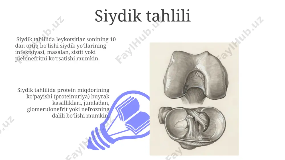ir bosqichda muayyan moddalarning konsentratsiyasi o'zgaradi. siydik yo'llari 01 02 nefronlar – siydik hosil boʻlishining asosiy birligi boʻlib, taxminan 1 million nefron har bir buyrakda siydik filtrlash va qayta soʻrish jarayonlarini amalga oshiradi. sales 1st qtr 2nd qtr 100 0 sales 1st qtr 2nd qtr 100 0 filtratsiya jarayoni filtratsiya jarayonining samaradorligi glomerulyar bosim, kapillyarlarning gidrostatik bosimi va bowman kapsulasidagi gidrostatik bosim farqi bilan belgilanadi. filtratsiyada suv, glyukoza, aminokislotalar, ionlar kabi kichik molekulalar o'tadi, lekin oqsillar kabi katta molekulalar glomerulyar membrana orqali o'ta olmaydi. mijoz sog'lom odam kuniga o'rtacha 1-2 litr mijoz ajratadi, bu miqdor yosh, jinsi, jismoniy faollik va atrof-muhit harorati kabi omillarga bog'liq holda o'zgarib turadi. mijozning ph qiymati odatda 4,5 dan 8 gacha o'zgarib turadi va bu buyraklarning kislota-ishqor muvozanatini tartibga solish qobiliyatini aks ettiradi, bu esa organizmning umumiy sog'lig'i uchun juda muhimdir. uretra uretra uzunligi ayollarda taxminan 3-4 sm, erkaklarda esa 15-20 sm ni tashkil etadi, …