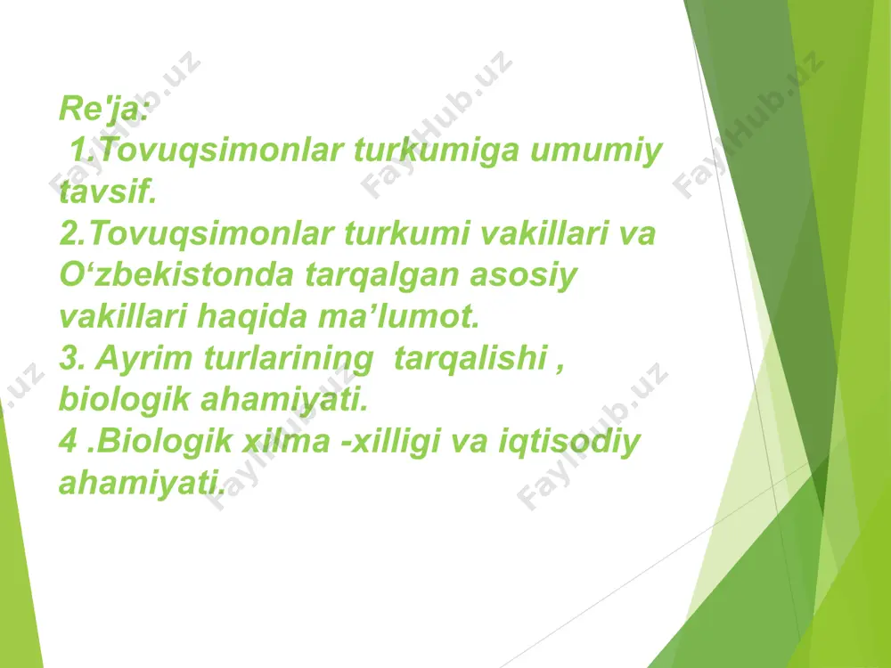 ini aniqlash va ularning sistematik tavsifini berish; har bir asosiy vakilning anatomik va morfologik tuzilishini tahlil qilish; tovuqsimonlarning yashash muhiti, oziqlanish odatlari va ko‘payish strategiyalarini o‘rganish; ekotizimdagi roli va inson xo‘jaligidagi iqtisodiy ahamiyatini yoritish; qushlar sinfiga tasnif-aves . pat va parlar bilan qoplangan.gomoterm organizmlar boʻlib , oldingi oyoqlari qanotga aylangan. bir qator anatomik belgilari bilan boshqa issiqqonli hayvonlardan ajralib turadi.qushlarning miyasi diopsid tipda ammo ustki yoy reduksiyalangan , ensa boʻrtmasi bitta boʻladi oyoqlarida interkanal va internazal boʻgʻimllari boʻlib, qovurgʻalarida ilmoqsimon oʻsimtalari mavjud .yurakdan arterial qon oʻng aorta yoyi orqali chiqadi.ayirish sistemasining tuzilishida va embrional rivojlanish davri, qon aylanish sistemasi reptiliyalarga oʻxshash tuzilgan .sezgi organlarining koʻrish , eshitishning funksional ahamiyati kuchaygan.etologik xususiyatlari jadallashgan . shartli reflekslar paydo boʻlgan . oʻz navbatida ovqat hazm qilish sibelasida yangi katta tuzilishlar muskulli oshqozonning alohidalanishi ,ichakning uzunlashishi ovqat hazm qilish jarayonini faollashtiriadi. oʻpka va xavo xaltachalari nafas olishda ishtirok etadi. hozirgi vaqtda qushlarning 8600turi bor …