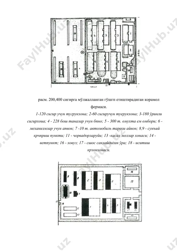 йирик шохли моллар мажмуаси - Page 5