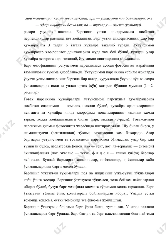 нинг учдан бир ёки бутунлай сувга кўмилиб турадигам ўсимликлар киради (ўқбарг; сув айиқ-товони). буларда ҳаво тўпланадиган гуқима (аэренхима) жуда кам тараққий этган, барглари туксиз, эпидермалари ингичка, ҳаво йўллари яхши тараққий қилмаган, ҳужай раларининг осмотик босими жуда оз бўлади. 2. гигрофитларнинг эпйдермаларида тукчалар бўлмайди, кутикулалари ҳам кучсиз тараққий этган, барг-лари йирик, ҳаво йўллари баргаинг ички тарафига жой лашган ва кўпинча 1идатодалари бўлади. буларга сер-сув жойларда ўсадиган ўсимликлар киради. 3. мезофитлар (юнон. мезос— урта, фитон — ўсимлик)га — ўртача намли тупроқ ва юмшоқ иқлимли шароитда ўсувчи ўсимликлар киради. улар кўпинча суб-тропик (кдвказ ва ўрхц осиё гоғларидаги) ўрмон гўқай-1 зорларида ўсади. бундан ташқари экиладиган сабзавот-мева, ғўза каби ўсимликлар ҳ^м шўлар жумласидандир. 4. ксерофитлар (юнон. ксерос — қурғоқ; фи т о н — ўсимлик)га қурғоқчилик шароитида (чўд, саҳро) 83-расм. кўкапаранг баргининг кўндаланг кесими: эв — юқори эпидерма; эп — остки эпидерма; к — кутикула; в — бир ҳужайрали оддий тукча; ж — 4 ҳужайрали …