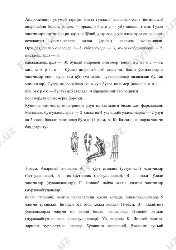ул, 2-расм). ёпиқ-уруғли ўсимлик- ташган. тропик ўсимлик меиассае оиласининг вакил-ларида 10 чангчи бир-бири 2-расм. андроцей»чангчилар. 1 ва 2— чангчилар (икки томондан кўриниши); н — чангчи ипи; п — чангдон; с — бирикма; з — тўла етишмаган чангларнинг тасвирий кесмаси; 4— етишган ва очилган чангчиларнинг тасвирий кесмаси, чап хоналардаги чанглар кўрсатилмаган; 5—чангнинг оптик кесмаси; а — вегетатив ядро; г — генератив ҳужайра. ларнинг аксариятида чангчилар, уларнинг катта кичикли-гидан қатъи назар, фақат битта (томирланмайдиган) ўтка-зувчи боғламга эга. чангчилар шу боғламдан озиқланади. чангдоннинг иккита уяси ёки хонаси бошланғич ип билан туташган. уларнинг ҳар бир ярим бўлаги тека деб аталадиган тўсиқ билан чанг хонасига бўлинади, кейин-чалик бу хоналарда (2-расм, 3,4) микроспоралар ёки чангчилар ривожланади. чангдонда чанг етилгандан сўнг, унинг уяси ёки хона-сидаги субэпидермис ҳужайрасининг ёрилиши туфайли очилади. очилган чангдон ёруғи гулнинг ички томонига (гинецейга) қарасаинтрорз (лот. интрорзум — ичкарига) чангдон, ташқи томонга қараса экстрорз (лот. экстрор-зум — ташқарига) чангдон деб аталади. талайгина ўсимликларда чангчилар …