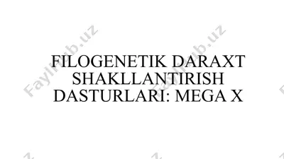 filogenetik daraxt shakllantirish dasturlari. mega x — PPTX