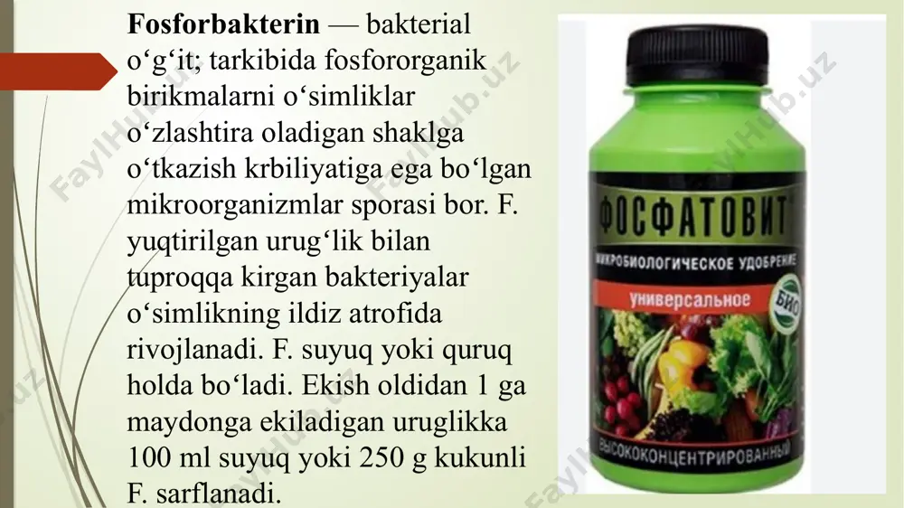 bakterial o’g’itlash. fosfobakterin, azotobekterin, nitrobakterin - Page 5