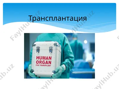 transplantatsiya — PPTX