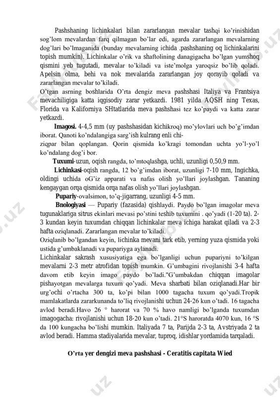 kar, marokko, nigeriya, senegal, sudan, tanzaniya, tunis, uganda, markaziy va janubiy amerika-argentina, braziliya, peru, avstraliya va okeaniyada ham tarqalgan. ko’p malakatlarda karantin ob’ekt. mdh da 1937 yilda odessada tarqalgan. 1964, 1966, 1967 va 1968 yillarda sevastopolda va ikkinchi bor 1966 yilda odessada topilgan. karantin va qiruvchi tadbirlar natijasida ularning markazlari yo’q qilindi. oxirgi yillarda o’rta yer dengiz meva pashshasining kirib kelish xavfi ozarboyjon, gruziya va eronda kuzatildi. bu mamlakatlarda 1976 yilda tarqalgan va tez ko’payib ketgan edi. uning tarqalishi natijasida meva yetishtiradigan xo’jaliklarga tez iqlimlashadi va o’rik, shaftoli, shuningdek sitrus mevalarini zararlaydi. apelsin, mandarin, limon, banan, kofe, xurmo, anjir, qulupnay, anor, o’rik, olma, gilos, uzum, pomidor, baqlajon, va shu kabi 70 dan ortiq o’simliklarga zarar yetkazadi. pashshaning lichinkalari bilan zararlangan mevalar tashqi ko’rinishidan sog’lom mevalardan farq qilmagan bo’lar edi, agarda zararlangan mevalarning dog’lari bo’lmaganida (bunday mevalarning ichida .pashshaning oq lichinkalarini topish mumkin). lichinkalar o’rik va shaftolining danagigacha bo’lgan yumshoq qismini …