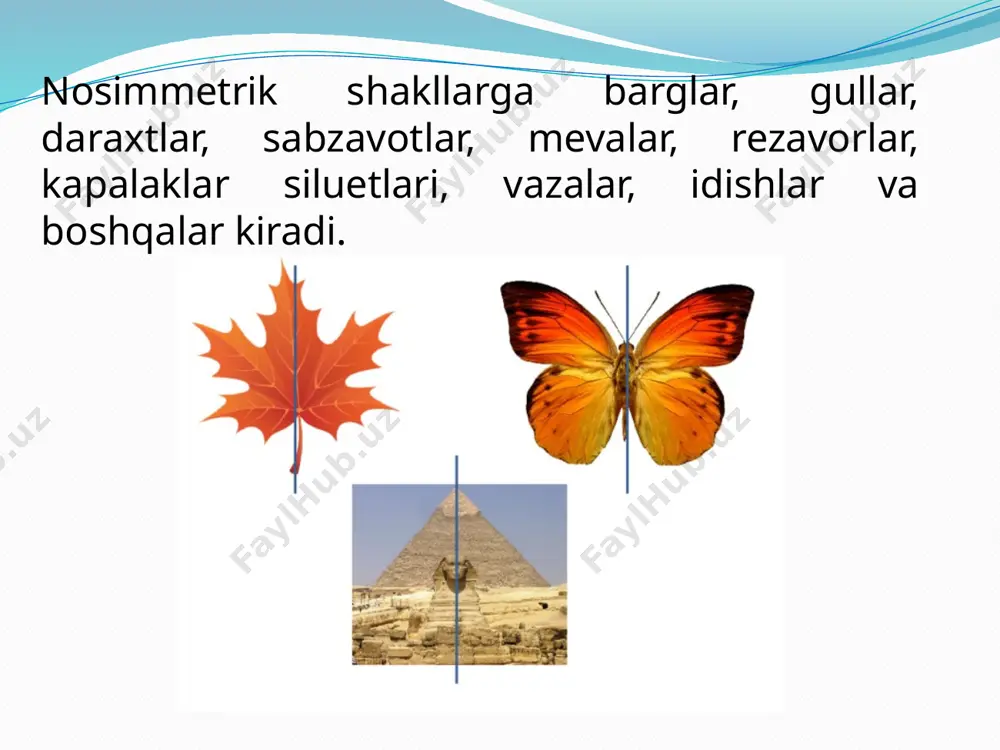 simmetrik va assimmetrik applikatsiya - Page 5
