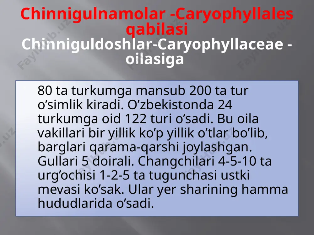 yashil yoki rangsiz. changchilari uch, beshta, ba'zan tagi birikib, tugunchani o’rab oladi. tugunchasi ustki, mevasi bir yoki ko’p urug’li ko’sakcha. bu oila vakillari tropik va subtropik mamlakatlarda keng tarqalgan. peruda gultojixo’rozlar donli ekin sifatida ekiladi qayrilgan tojiho’roz (machin) -amaranthus retraflekus. bir yillik begona o’t sifatida ekinlar orasida o’sadi. bo’yi 20-75 sm. poyasi va bargi kulrang-yashil, mayda tukli. iyn-iyul oylarida gullab, iyul-oktybrda urug’laydi. gultojixo’roz - celosia cristata manzarali o’simlik sifatida o’stiriladi. qizil machin-amaranthus marahandatus. evropa va aqshda hozir o’zbekistonda ham yem - hashak sifatida ekiladi. machinlar juda syerpusht bo’lib, bir tup o’simlik 500000 - 1000000 tagacha urug’ beradi. semizo’tdoshlar-portulacaceae – oilasiga ko’p yillik va bir yillik o’t o’simliklar kiradi. ularning barglari oddiy, etli va sersuv bo’ladi. gullari ikki jinsli, gulkosachasi ikki bo’lakchali, gultoji 5 ta, ba'zan 4 - 9 ta, erkin yoki tutashgan, changchilari gultojibarg soniga teng yoki cheksiz, urug’chisi bitta, tugunchasi ustki. mevasi ko’p urug’li ko’sakcha. bu oilaga 20 turkumga …