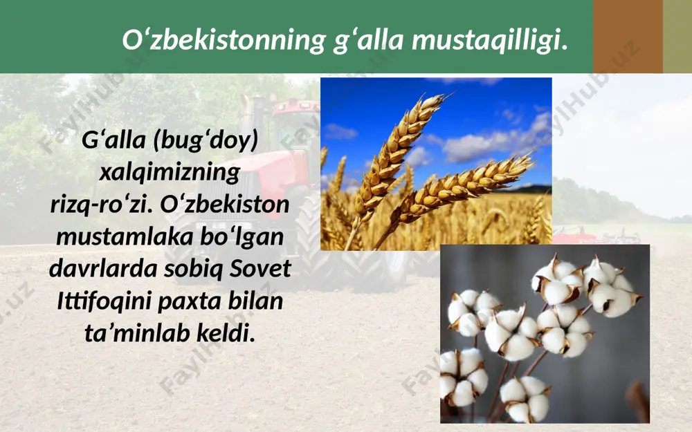 imyo sanoatisiz ham qishloq xo‘jaligining rivojlanishini tasavvur etib bo‘lmaydi. mineral o‘g‘itlar yordamida ekinlarning hosildorligini oshirish, kimyoviy vositalar bilan esa qishloq xo‘jaligi zararkunandalariga qarshi kurashish mumkin. oziq-ovqat sanoati aholini turli xil oziq-ovqat mahsulotlari bilan ta’minlash imkonini beradi. shunday ekan, respublikamizda sanoatni rivojlantirish masalasiga bundan keyin ham katta e’tibor berilaveradi. savol va topshiriqlar 1. nima uchun o‘zbekistonda g‘alla mustaqilligini ta’minlash zarur edi? 2. g‘alla mustaqilligiga erishish borasida qanday tadbirlar amalga oshirildi va ular qanday natija berdi? 3. neft mustaqilligiga erishmasdan turib ishlab chiqarishni rivojlantirib bo‘lmasligiga dalillar keltiring. 4. o‘zbekiston paxtasining jahon bozoridagi o‘rni haqida nimalarni bilib oldingiz? 5. sanoatning mamlakat iqtisodiyotida tutgan o‘rni benihoya kata ekanligiga dalillar keltiring. image2.jpg image3.jpeg image4.jpeg image5.jpeg image6.jpeg image7.jpeg image8.jpeg image9.jpeg image10.jpeg image11.gif image12.jpeg image13.jpeg image14.jpeg image15.jpeg image16.jpeg image17.jpeg image18.jpeg image19.jpeg image20.jpeg image21.jpeg image22.jpeg image23.jpeg image1.jpg