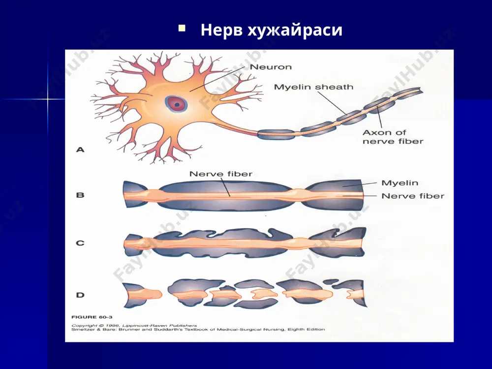 асаб руҳият бузилишлари - Page 4