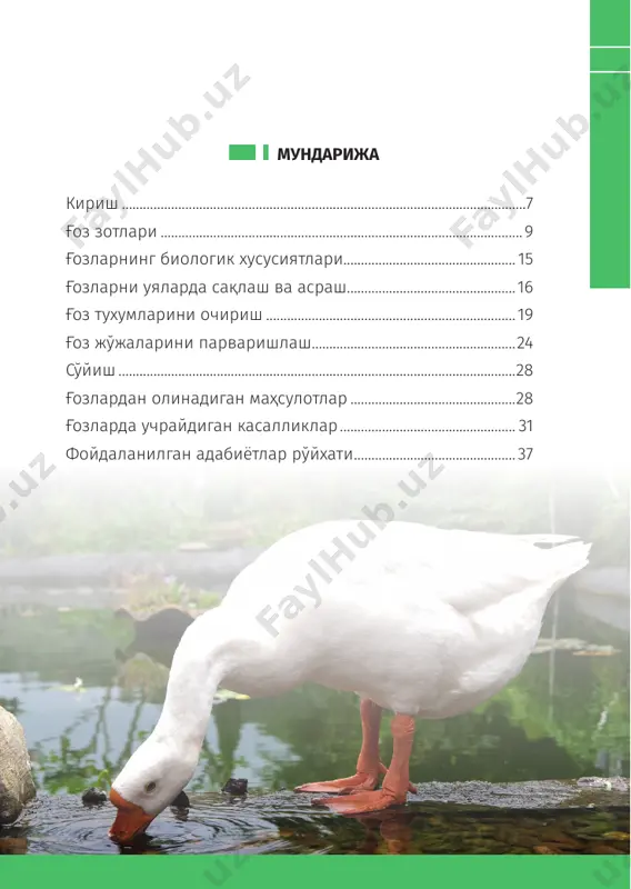 шунинг учун бу зот яна 2 та типга – боровский ва тамбовский степнойларга бўлинади. кўпайтириш. маҳсулдор зот, гўшти жуда сифатли. йили- га 35-45 дона, икки циклда 60 донагача тухум беради. туху- мининг вазни 175 г, ранги оқ, тухум бериши мавсумли – фев- раль, апрель ойлари. апрель-май ойларидан тухумининг уруғланиши пасайиб кетади. ёш ғозларнинг 60кунлигидаги тирик вазни 4-4,5 кгни ташкил этади. ёғли жигарининг оғир- лиги 350-450 г. ғозларнинг вазни: эркаги 7-9 кг, урғочиси 6-8 кг бўлади. хитой зотли ғозлар келиб чиқиши. ушбу зот кўп асрлар олдин хонакилашти- рилган қуруқ бурун (сухонос) ғозидан яратилган. xviii асрда хитойдан европага келтирилган. йилига 45-70 дона, алоҳида маҳсулдорлари 100 донагача тухум беради. 11 ғозларни парваришлаш85–китоб кўпайтириш. ноёб зот, ажой- иб ташқи кўриниши, серҳаракат- лилиги билан ажралиб туради. тухумининг оғирлиги 120 г, ранги оқ-қаймоқ ранг, 9 ойлик ёшидан ту- хум беришни бошлайди. тухумдан ғоз жўжаларининг очиб чиқиши 75-80% ни ташкил этади. ёш ғозлар- нинг 60 кунлигидаги тирик …
