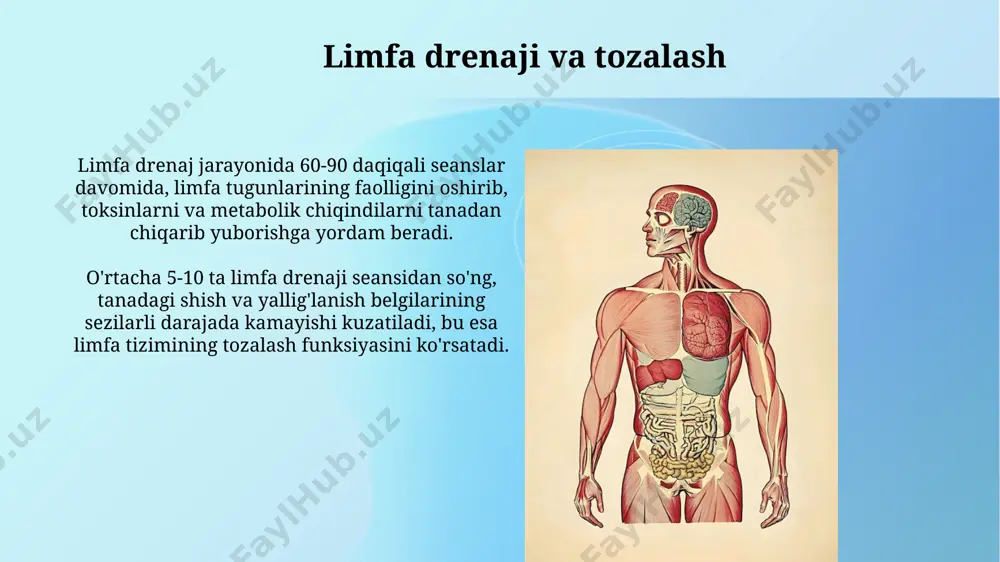 limfa sistemasi - Page 4