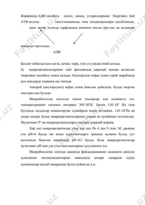 микробиологик синтез - Page 5