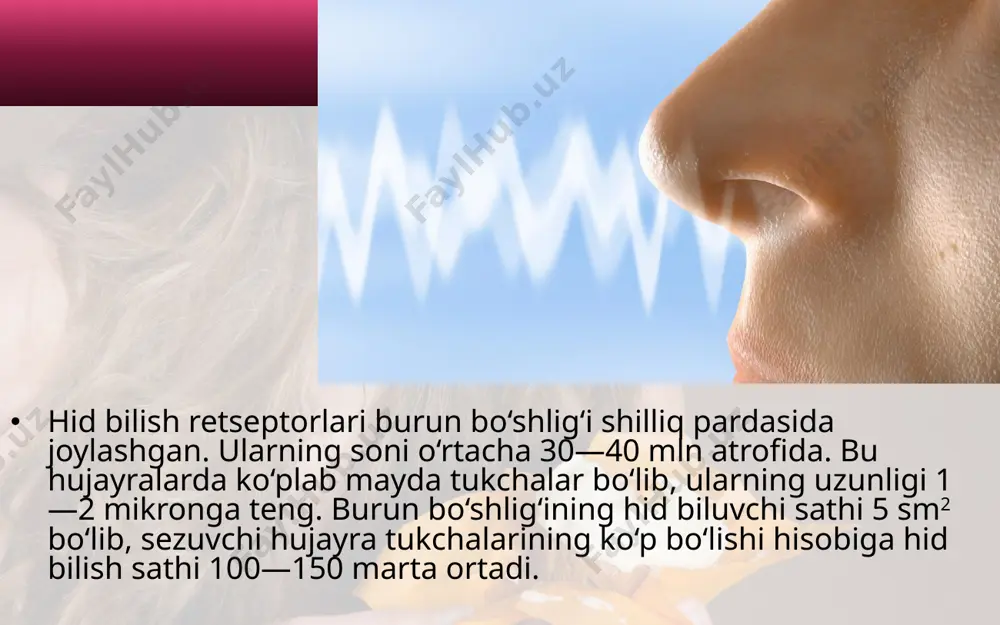 qobiliyatiga ega. til uchidagi retseptorlar shirinni, yon tomondagilari sho‘r va nordonni, orqa qismidagi retseptorlar achchiqni sezadi. oshpazlarda ta’m bilish analizatori yaxshi rivojlangan bo‘ladi. ichki a’zolarning sezuvchanlik xususiyati (ichki analizator). ichki a’zolarda, ya’ni o‘pka, yurak, oshqozon, ichak, jigar, taloq, buyrak, siydik pufagi hamda qon tomirlari devorida retseptorlar joylashgan bo‘lib, ular visseroretseptorlar deb ataladi. bu retseptorlar mazkur a’zolarda sodir bo‘ladigan mexanik, kimyoviy, harorat va bosim o‘zgarishlari ta’sirida qo‘zg‘aladi. qo‘zg‘alish sezuvchi nerv tolalari (vegetativ nerv sistemasi) orqali orqa va bosh miyadagi nerv markazlariga boradi. markazlardagi nerv hujayralarida analiz va sintez qilinib, ta’sirning tabiati aniqlanadi. buning natijasida mazkur tomirlar kengayib yoki torayib, qon bosimining oshishi va pasayishi, ichki a’zolarning sezish va harakatlanish faoliyati amalga oshadi. shuni alohida qayd qilish kerakki, visseroretseptorlar boshqa sezgi a’zolari retseptorlaridan farq qilib, ularning hamma qo‘zg‘alishi odamga sezilavermaydi. balki bu retseptorlarning ba’zilarining qo‘zg‘alishini odam sezadi. masalan, och qolish, chanqash, siydik, najas ajratishga taalluqli retseptorlar qo‘zg‘alishini odam sezadi va shunga ko‘ra …