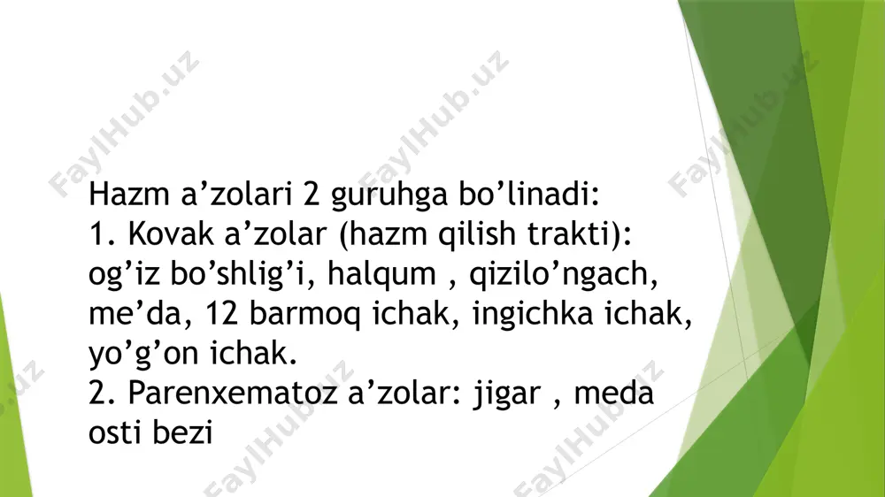 ovqat hazm qilish a’zolarining tuzulishi - Page 4