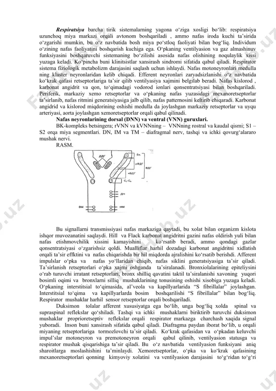 arda qo‘lllaniladigan tasnifini ishlab chiqqan. 60-70 yillarda klinik tibbiyot soxasida etakchi bo‘lib b.e. votchal tan olingan bo‘lib u o‘zining klinik ishlarida xansirash kabi muammolarga katta e’tibor karatgan. b.e. votchalning oxirgi ishlari 1973 yilda qayd etilgan. oxirgi 30 yillikda xansirash mexanizmi soxasida katta o‘zgarishlar yuzaga kelgan, ayniqsa insonni kognitiv qismida bo‘lib, bu insonda xansirash jiddiy muammo ekanligini anglab etishga olib keldi. tekshiruv programmasiga pozitron - emession tomograf va yadro – magnit rezonans kiritilishi xansirashning neyrobiologik mexanizmi xaqidagi tasavvurni kengaytirdi. tarixda xansirashni o‘rganish jarayonida respirator sistema sensor sistema faoliyatida ko‘rib chiqildi, ya’ni nerv impulslarini o‘tkazilishini ta’minlovchi sistema va ularni sensor analizlarini taxlil qiluvchi mexanizm sifatida o‘rganildi. evolyusiya mobaynida nafas olish sistemasi maxsuslashtirilgan respirator va metabolik funksiyalarga ajratildi. oxirgi 20 yillikda o‘pkaning immunologik faoliyati o‘rganilishi boshlandi. ushbu planda asosiy o‘rinni, o‘pka to‘qimasining bronxoassotsiyasining lokal immunitet ishlab chiqarilishidagi roli va nafas olish yo‘llarining shilliq qavatini patogen ko‘zgatuvchilardan ximoya qilinishi, yoki bo‘lmasa ularning respirator sistema …