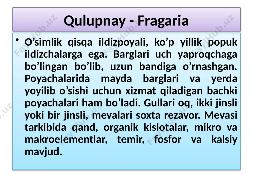 nokabilar rosidae daraxt va butalar o`tlar, lianalar * ♀♂са(5)со 5а~g1 7 yalpizkabilar lamiidae 8 qoqio’tkabilar astyeridae