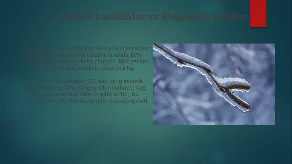mida filogenetik nuqsonlarning evolyutsion saqlanishini va insonlardagi shu nuqsonlar bilan bog'liq kasalliklarga o'xshashliklarni solishtirish orqali, yangi davolash usullarini ishlab chiqish mumkin. inson rivojlanishidagi filogenetik nuqsonlarning 30 dan ortiq turini aniqlash va ularning genetik asoslarini, xususan, mikrorna va epigenetik mexanizmlarini chuqurroq o'rganish zarur. filogenetik defektlarning ta'rifi inson rivojlanishidagi bunday nuqsonlarning 20% dan ortigʻi genomdagi katta miqdordagi o'zgarishlar yoki xromosomalar soni yoki tuzilishining buzilishi bilan bogʻliq bo'lib, ularning aksariyati dominant yoki retsessiv meros bo'yicha o'tadi. taxminan 5% hollarda, embrional rivojlanishning 4-8 haftasida yuz beradigan muayyan genlarning noto'g'ri ifodalanishi tufayli, og'ir morfologik anomaliyalar yuzaga keladi, bu esa tug'ma nuqsonlarga olib keladi. xulosa xulosa tugʻma nuqsonlarning 25% ga yaqinini tashkil qiladi va ularning koʻpchiligi katta genetik oʻzgarishlar natijasidir. xulosa diagnostikasi, karyotiping, fish va ngs kabi zamonaviy genetik texnologiyalardan foydalangan holda amalga oshiriladi, bu esa aniqlikni 95% gacha oshiradi. genomik imprinting va filogenetik defektlar genomik imprintingdagi o'zgarishlar, masalan, 15-xromosomaning prader-villi sindromi yoki angelman sindromi kabi …