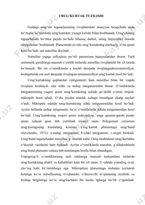 ayralarida kutikulali pardani bo‘lishini ayrim mutaxassislar, murtak xaltadan oziq moddalarning kelishiga to‘sqinlik qiladi, deb hisoblashsa, boshqalari bu parda sekretorlik vazifani bajaradi degan fikrni bildiradi. uchinchilari integumental tapetum murtak xalta, murtak va endospermni bir tomondan, ikkinchi tomondan integumentning muvofiqlashgan holda o‘sishini ta’minlashda ishtirok etadi, deb hisoblaydi. shu boisdan u meristematik xarakterni saqlaydi, tuxum hujayra va markaziy hujayra urug‘langanidan keyin murtak hamda endospermni jadal ravishda rivojlanishida ishtirok etadi. rasm urug‘kurtak tiplari. a – asosiy (goebel, 1933); 1- ortrotrop yoki atrop, 2anatrop, 3-gemitrop, 4-kampilotrop, 5-amfitrop; b-sirsinotrop urug‘kurtakning ketma-ket rivojlanish bosqichlari plumbago capensis (haupt, 1934); b-turli tipdagi urug‘kurtaklarning sxematik bog‘liqligi, (savchenko, 1973); 1-5-a; rasmning aynan o‘zi; aorto kampilotrop; b-ana-kampilotrop; g-orto-amfitrop; 6-gipertrop; d-ana-amfitrop; yeorto-sirsinotrop; j-ana-sirsinotrop. arxesporiy. urug‘kurtak rivojlanishining dastlabki bosqichlarida epidermis ostidagi nutsellusning markaziy qismida uning atrofidagi boshqa hujayralardan ancha kattaligi va quyuq sitoplazmaga egaligi bilan farqlanadigan bir yoki bir nechta hujayra, birlamchi arxesporiy, soddaroq aytganda arxesporial hujayralar hosil bo‘ladi. rasm urug‘chi arxesporiyasining tiplari (sxemasi). …